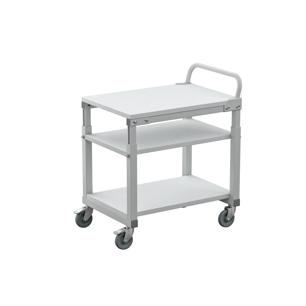 Číslo obrázku produktu 3: Spodní police pro pojízdný stolek, ŠxH 700 x 500 mm, nosnost  40 kg