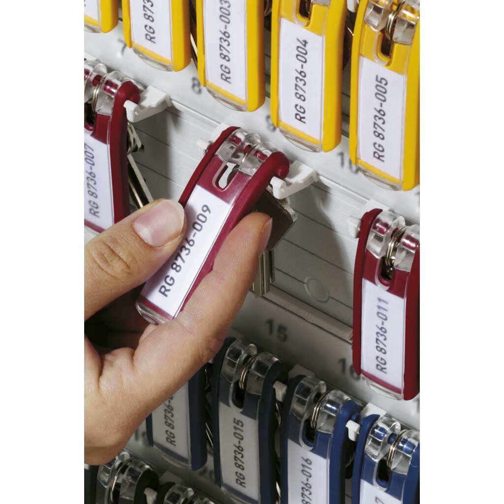 Číslo obrázku produktu 6: Přívěsek na klíče DURABLE KEY CLIP, velké balení, 1 sáček à 24 ks