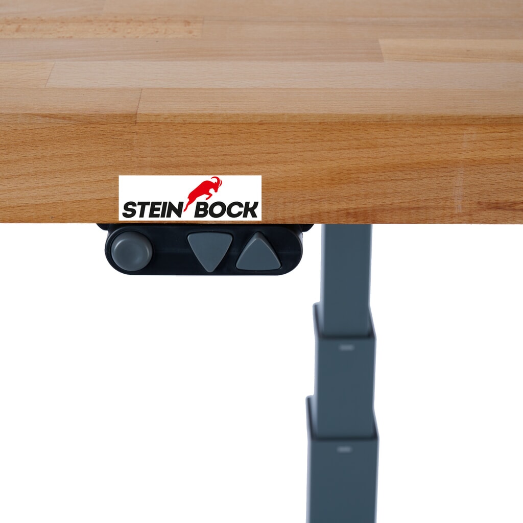 Elektrický výškově nastavitelný pracovní stůl Steinbock® e-Adjust, se stěnou s otvory, VxŠxH 700-1170 x 2000 x 750 mm, nosnost 350 kg Číslo obrázku produktu 3: Elektrický výškově nastavitelný pracovní stůl Steinbock® e-Adjust, se stěnou s otvory, VxŠxH 700-1170 x 2000 x 750 mm, nosnost 350 kg