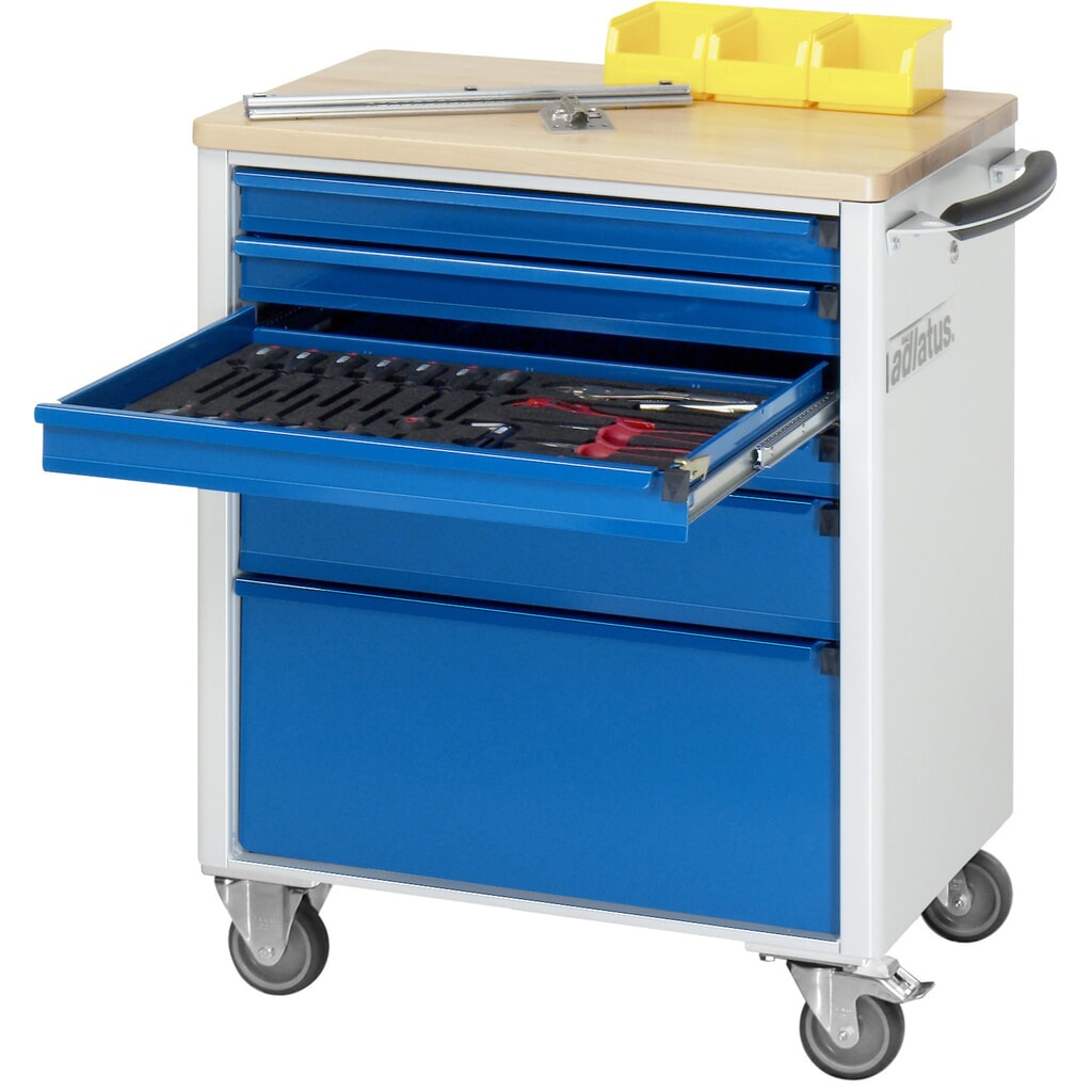 Obrázek produktu: Nástrojový vozík RAU řada adlatus 700, VxŠxH 860 x 700 x 510 mm, 6x zásuvka 4 x 65, 1 x 130, 1 x 260 mm, buková pracovní deska