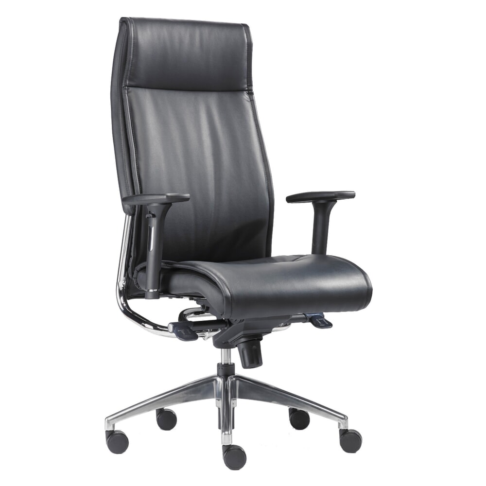 Designová kancelářská židle SITWELL STEIFENSAND Big Boss pro vysoké zatížení, kožený sedák s chromovanými prvky Obrázek produktu: Designová kancelářská židle SITWELL STEIFENSAND Big Boss pro vysoké zatížení, kožený sedák s chromovanými prvky