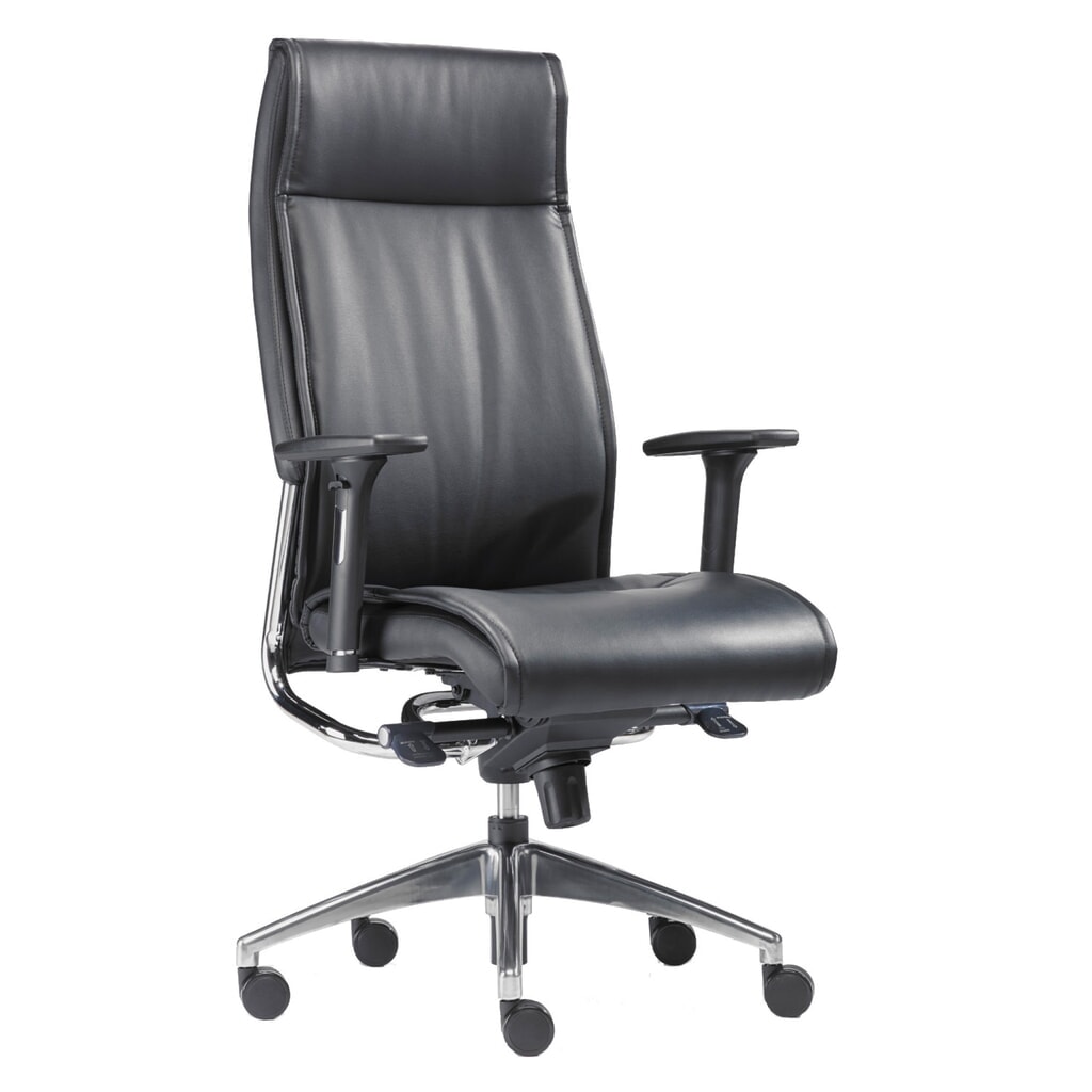 Designová kancelářská židle SITWELL STEIFENSAND Big Boss pro vysoké zatížení, kožený sedák s chromovanými prvky Číslo obrázku produktu 1: Designová kancelářská židle SITWELL STEIFENSAND Big Boss pro vysoké zatížení, kožený sedák s chromovanými prvky