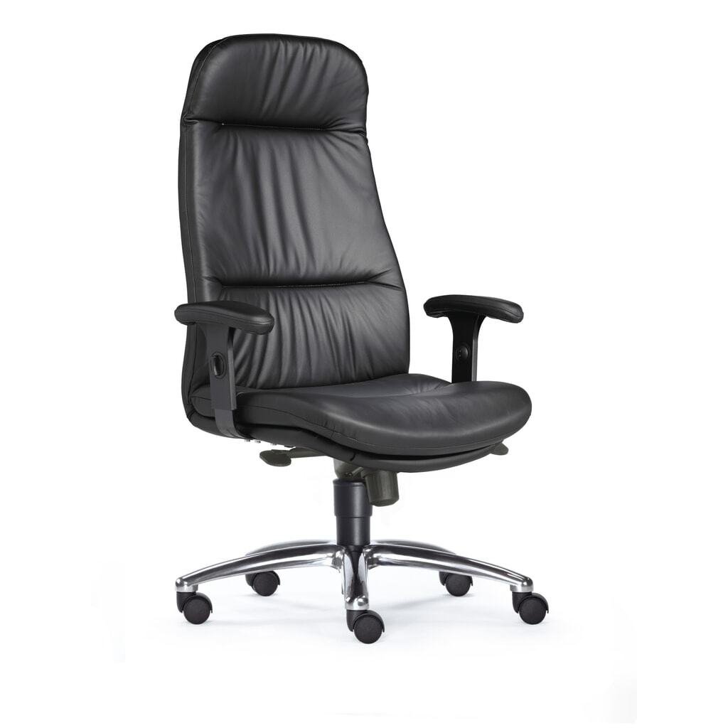 Kancelářská židle SITWELL STEIFENSAND Top pro vysoké zatížení, extra vysoké opěradlo, lesklá hliníková křížová podnož, kožený sedák Číslo obrázku produktu 2: Kancelářská židle SITWELL STEIFENSAND Top pro vysoké zatížení, extra vysoké opěradlo, lesklá hliníková křížová podnož, kožený sedák