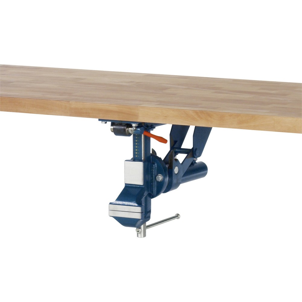 Číslo obrázku produktu 3: Svěrák RAU se sklápěcím mechanismem, šířka čelistí 120 mm